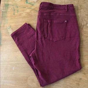 Curve Appeal Jeggings Sz. 20